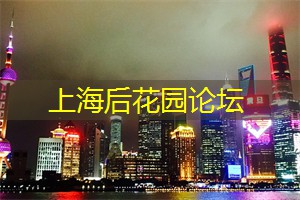 爱上海同城论坛：晨曦中的神秘！探索上海后花园新的一天