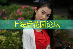 上海花千坊：夜晚的上海灵感之源：创意与设计在暗夜中绽放