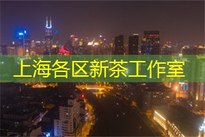 上海新茶工作室：邂逅上海新茶工作室，探寻温润清香背后的奇妙世界！