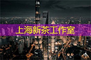 上海新茶工作室：【生之苦＊活之累】