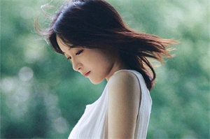 <strong>爱上海官网</strong>：上海迷人的茶花盛宴，绚丽多彩的花艺与茶香的完美结合！